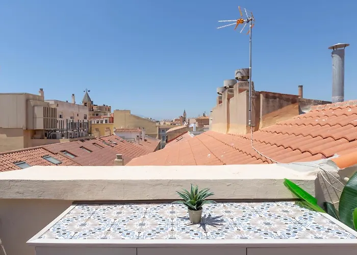 Terraza De Málaga